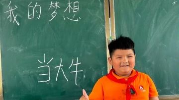 伤害输出道具数据整理