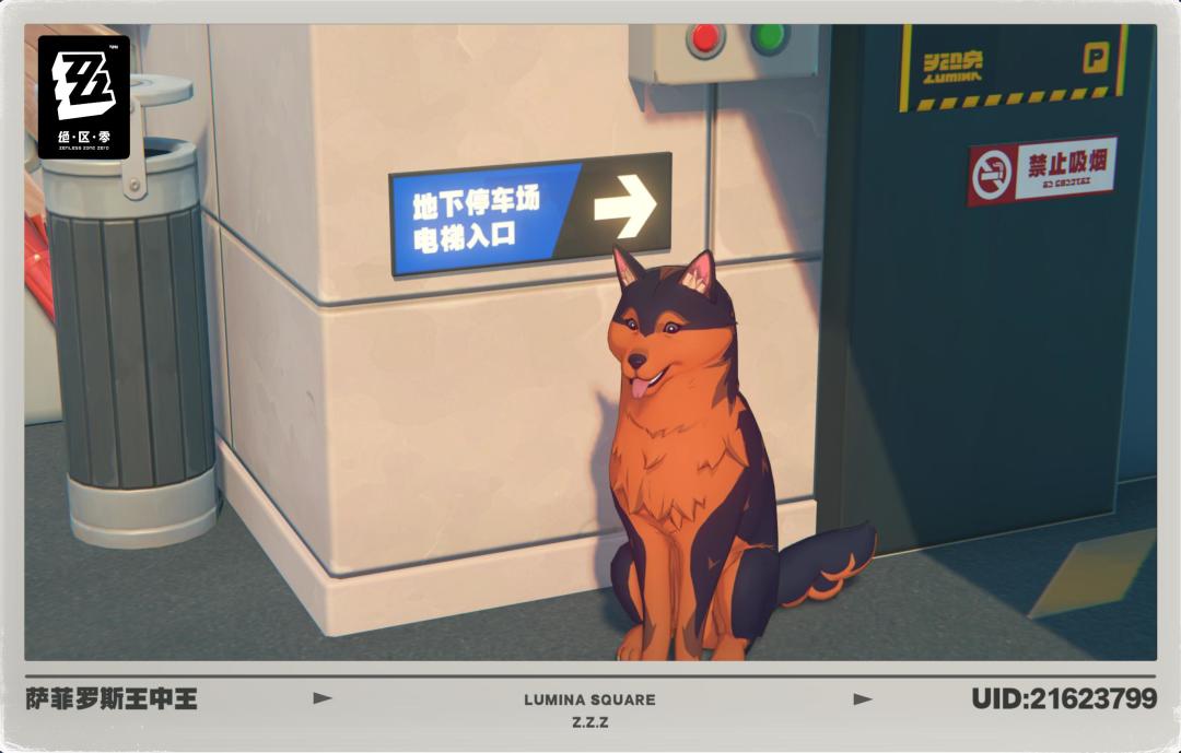 这游戏拍照系统确实该优化下了 2