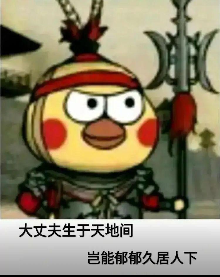 新区组队了兄弟姐妹们 1