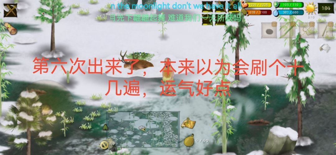 动态图片 7