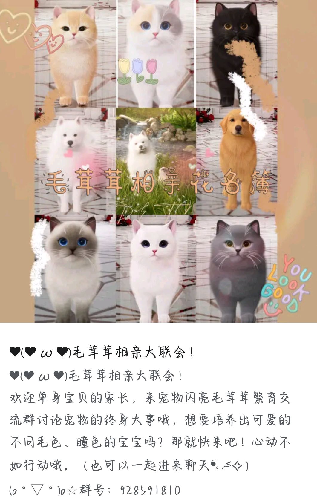 ❤(❤ ω ❤)毛茸茸相亲大联会! 1
