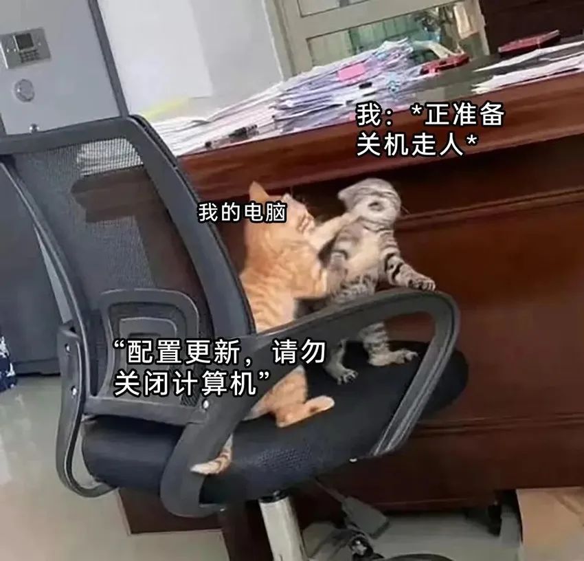 ✨今日份梗图分享第二十六期✨ 1