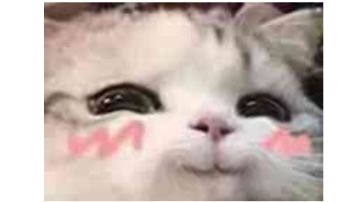 《所谓高手的秘密》