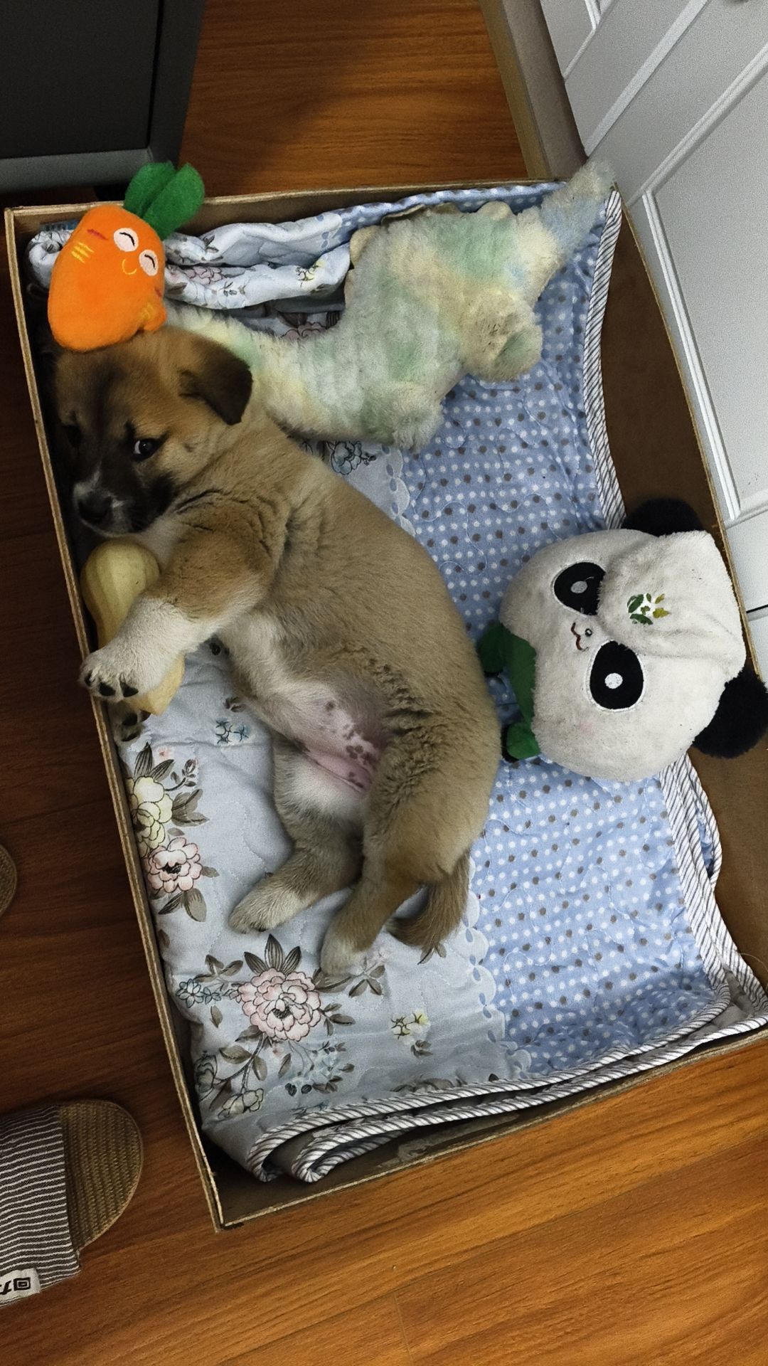 关于装备词条补充和进阶属性选择 1