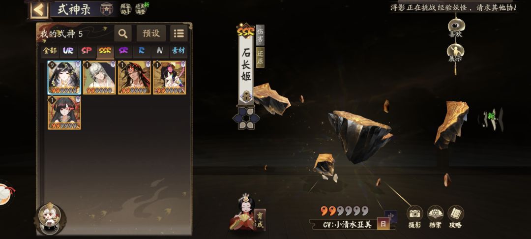 萌新不知道养哪个 1