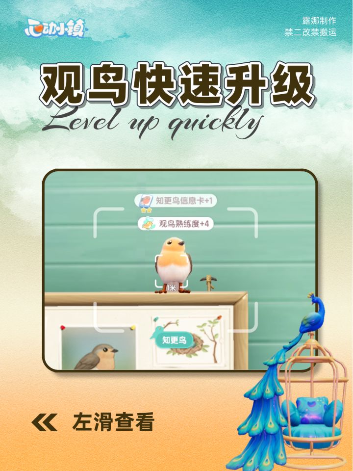 心动小镇 观鸟快速升级,超适合懒人新手截图