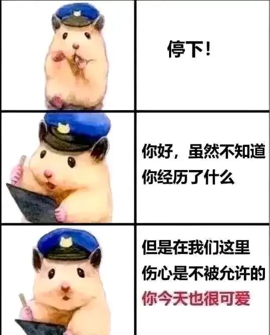 大佬们问个问题截图
