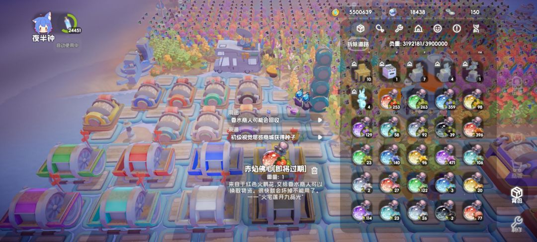 求助背包里面的花放不进去了 1