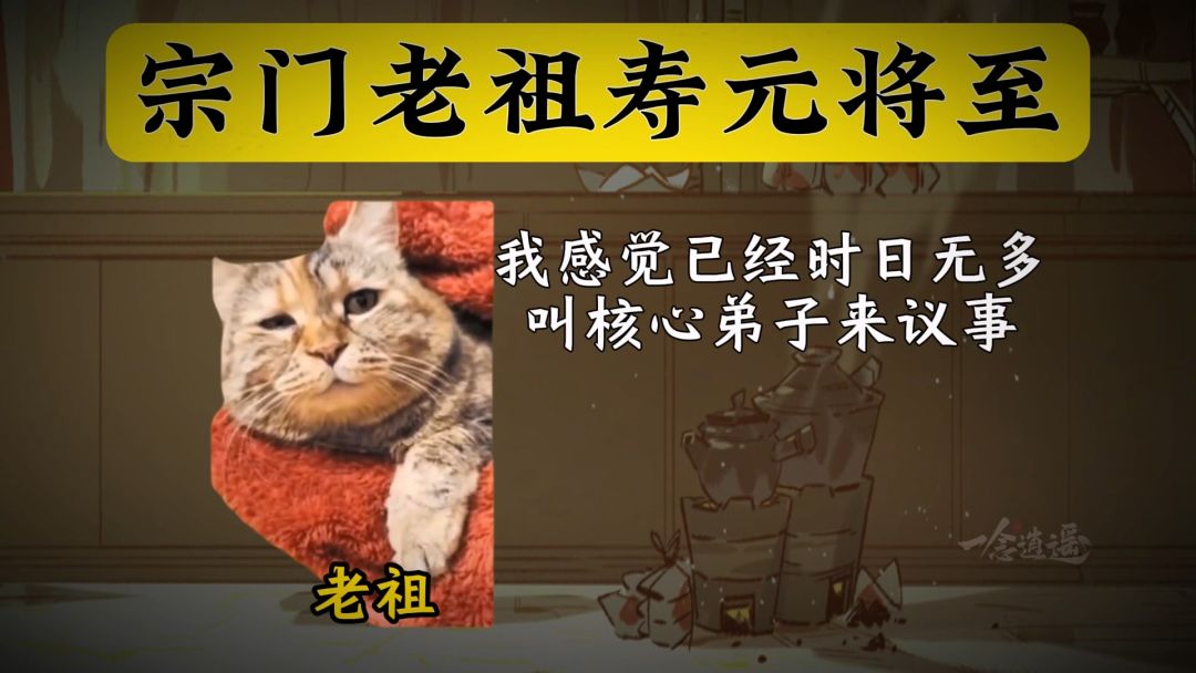 video-5461210
