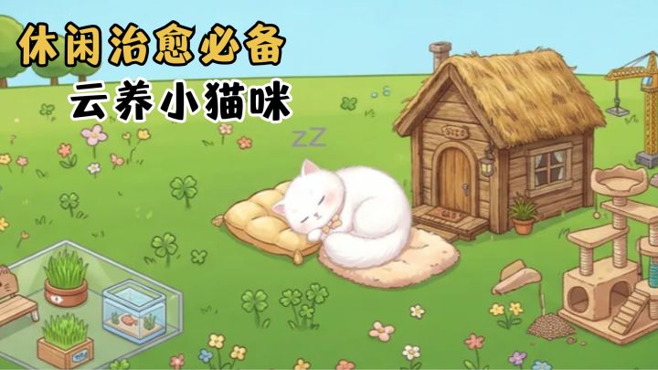 云养专属小猫🐱在这里拥有你的喵星小伙伴截图