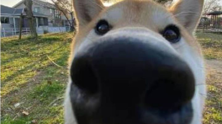 琴恩怎么这么难啊! (っ╥╯﹏╰╥c)截图