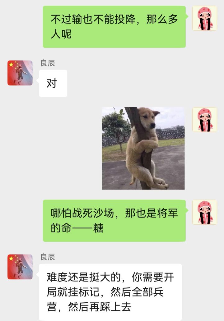 糖总名言截图