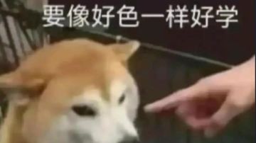 全增伤类镜灵及灵器培养攻略