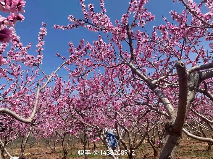 动态图片 5