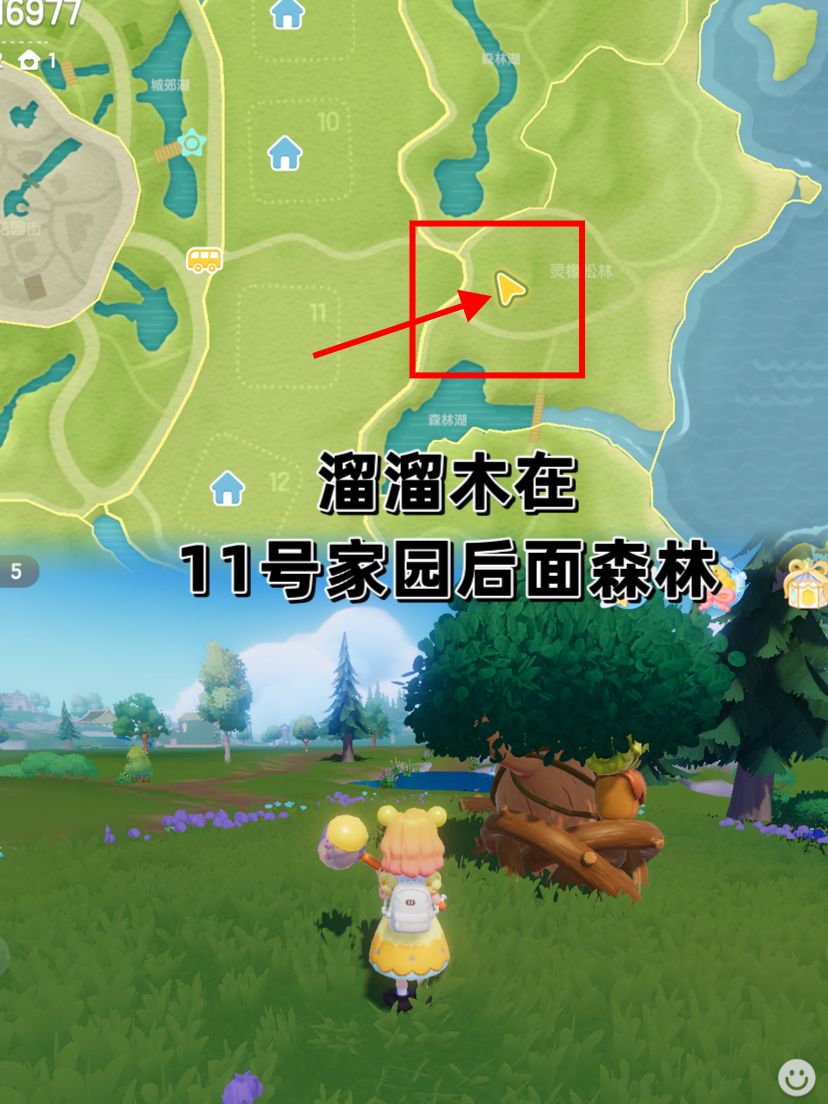 9.12心动小镇更新 3