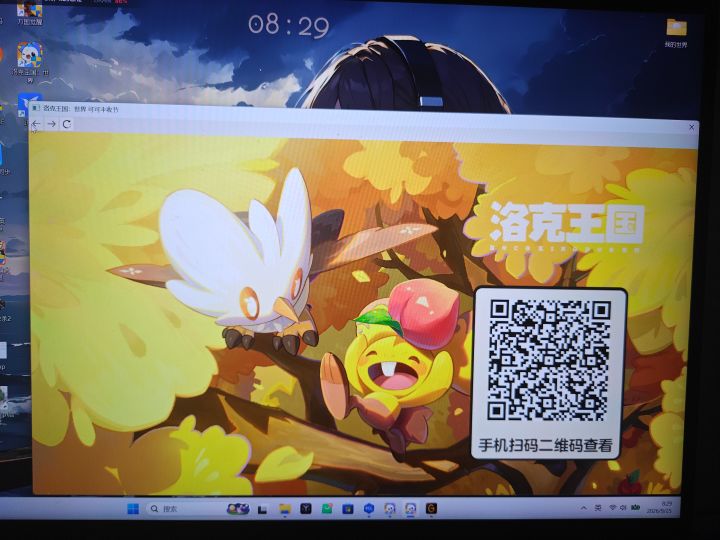 bug截图