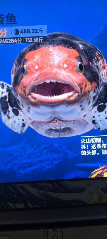 接上个反馈。给官方一些建议