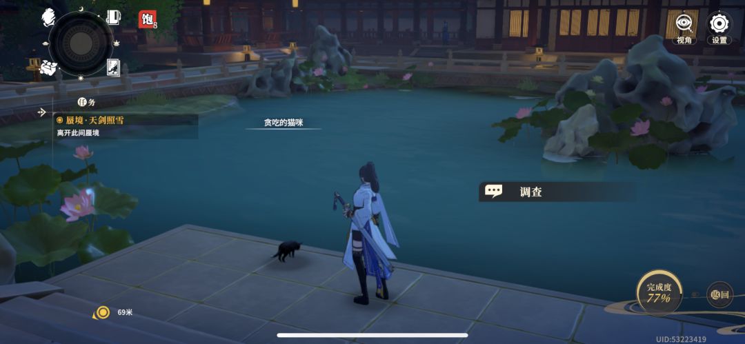 这猫吃什么? 1