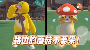 路边的蘑菇不要采！