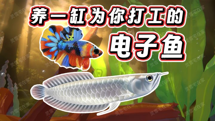 年轻人的第一款赛博鱼缸【鱼我一起：水愈时光】截图