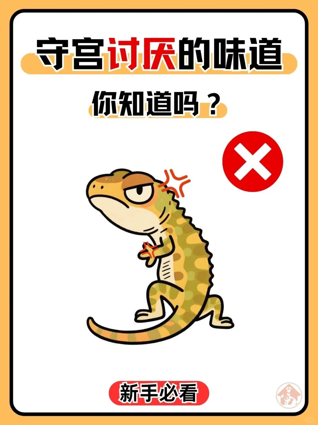 新手必看!守宫讨厌的六种味道! 1