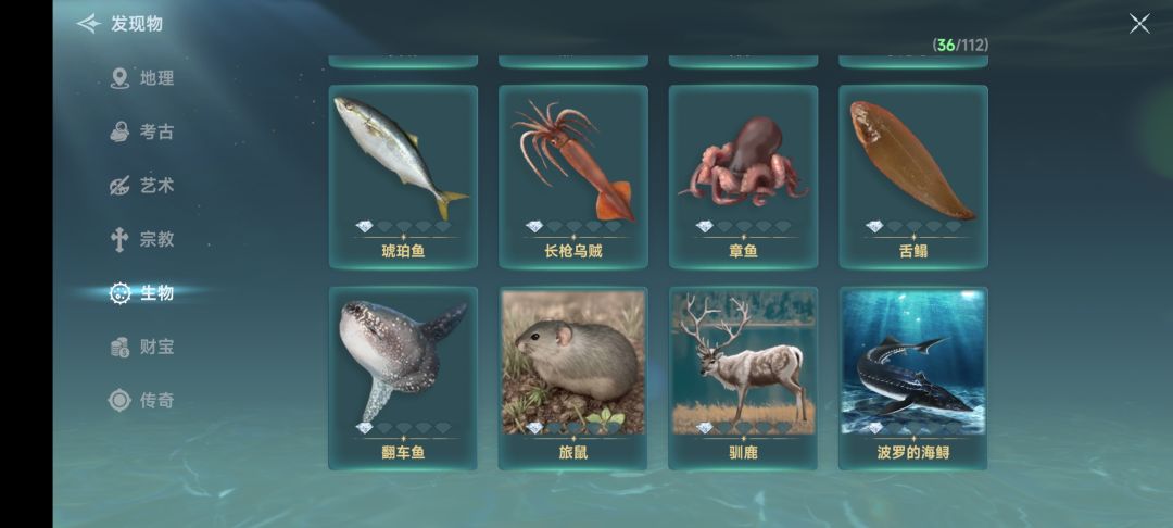 篝火测试阶段发现物 5