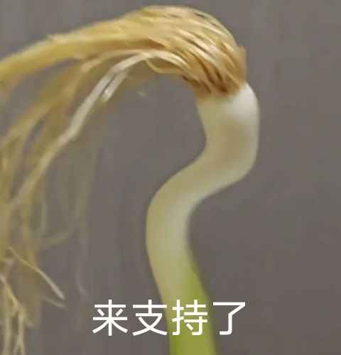 求问大佬们,角色是不可以放在主页吗截图