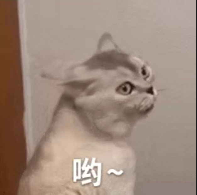 ∩到底什么时候更新啊? 1