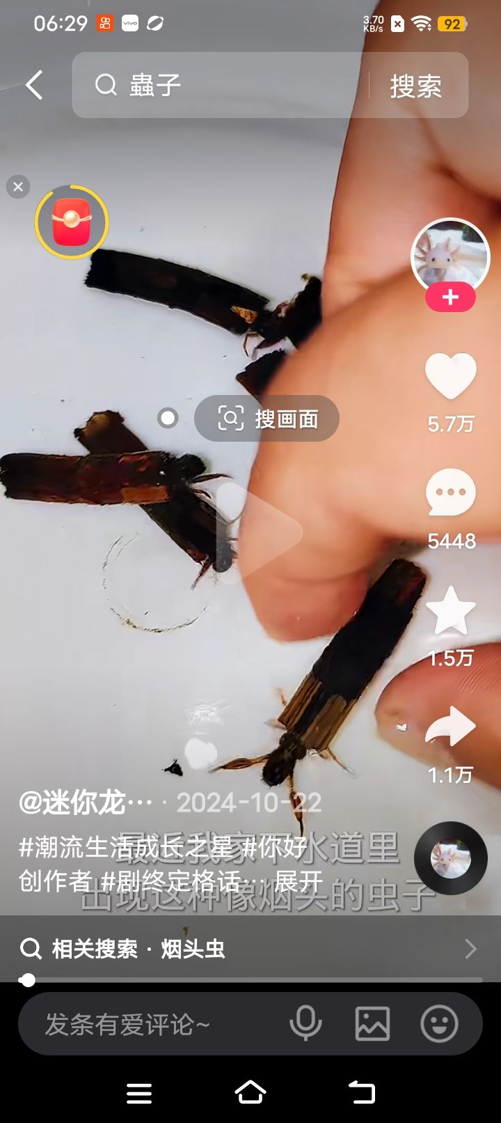 动态图片 18