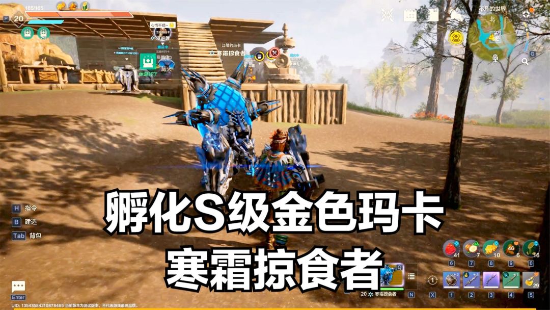 video-4651057