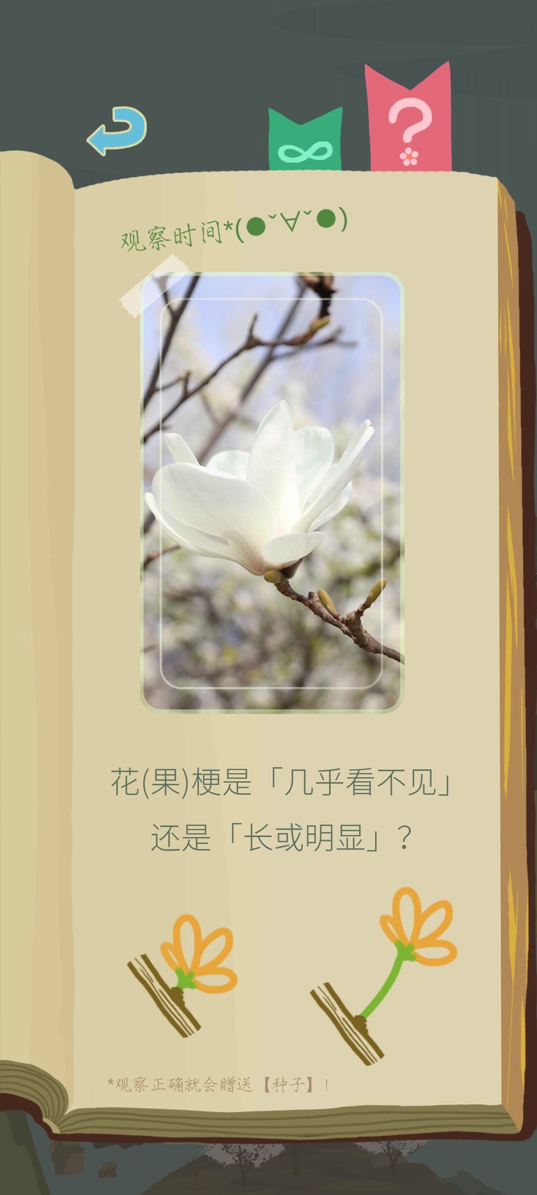 求助一下…… 1