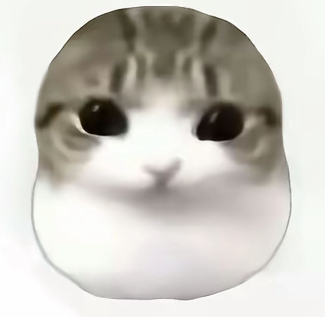 萌新Q带 3