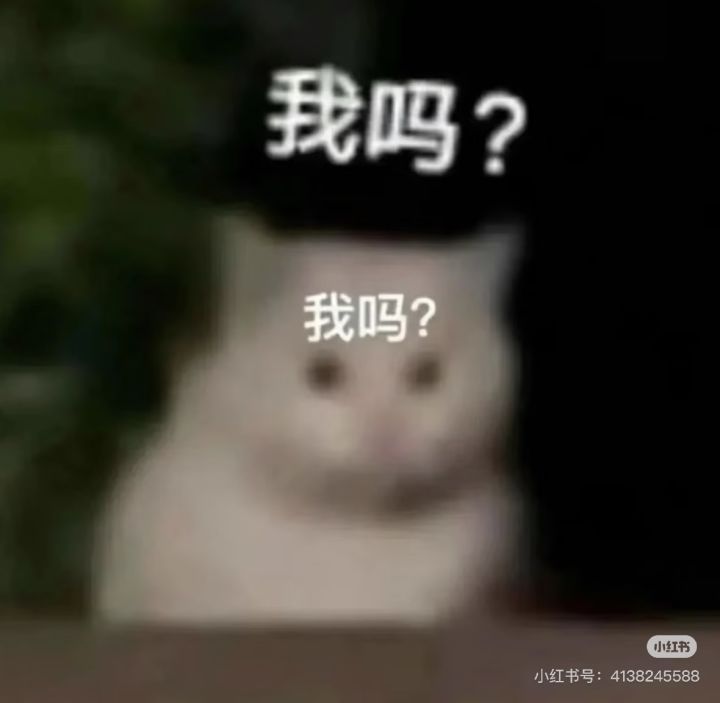 苹果手机可以玩吗截图