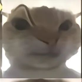 申请体验服资格。