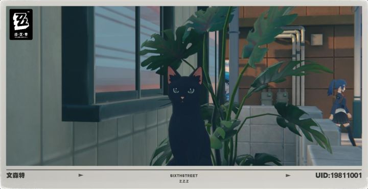 猫儿真可爱截图