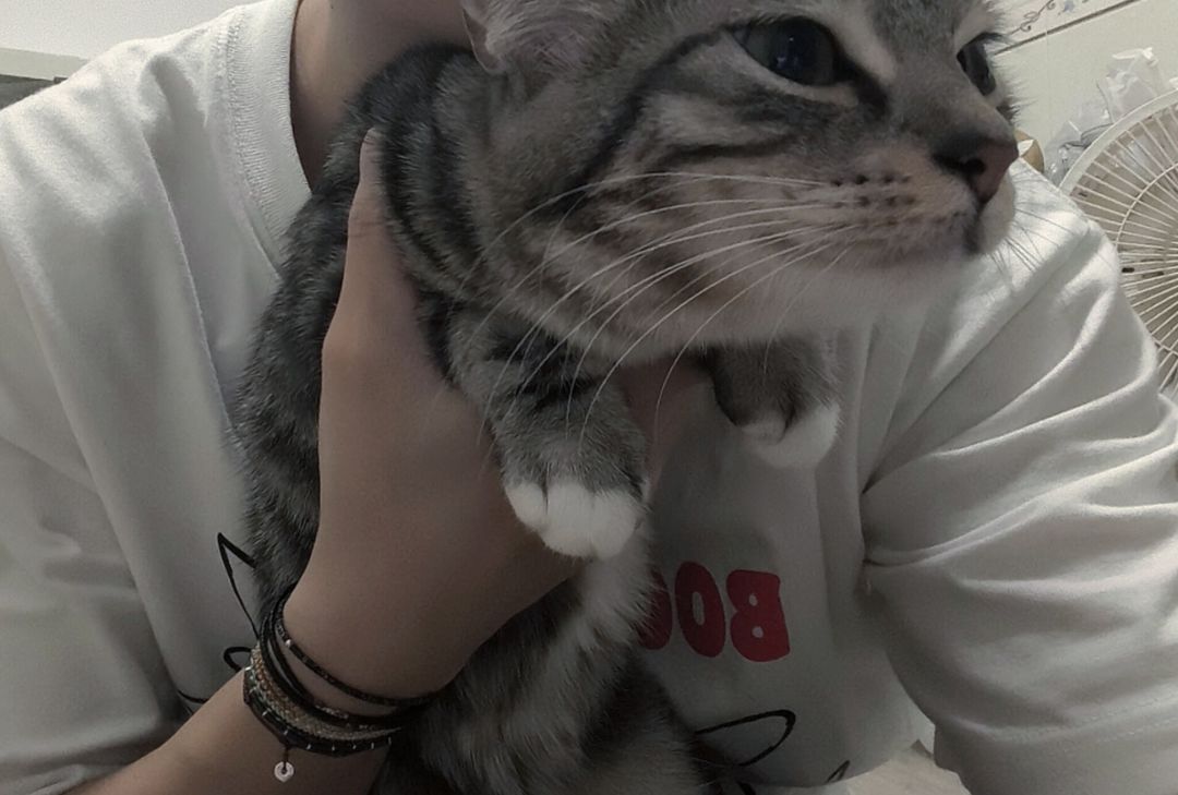 11亿纪念 3