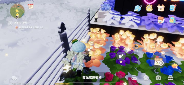 为什么有两种五星的玫瑰截图