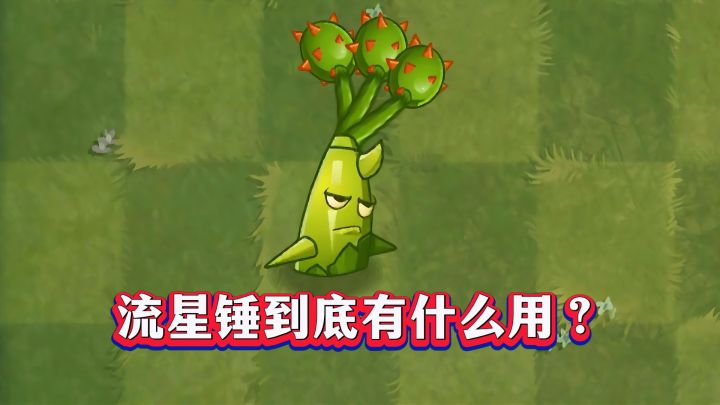 近战神卡还是废卡？刺果流星锤1-5阶实测截图