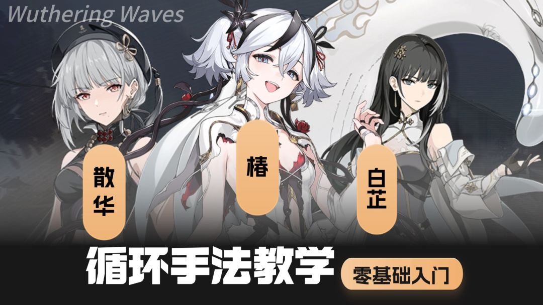 【鸣潮】椿，白芷，散华实战手法讲解截图