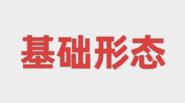 图鉴：基础形态（15种）