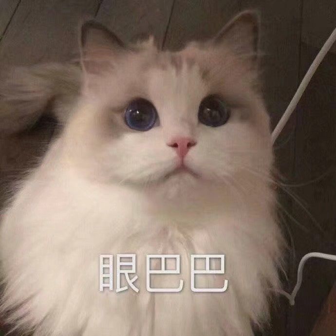 佬们,推荐入坑嘛?截图