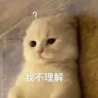 心动小镇电脑端有人能多开双开吗? - 心动小镇综合讨论 - TapTap 心动小镇论坛