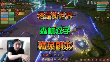 【塔瑞斯世界】森林双子精英副本打法