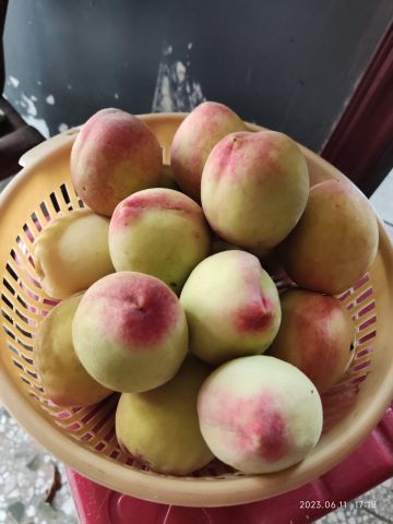 给还在迷茫的月女2圈外流暴走巨刃攻略