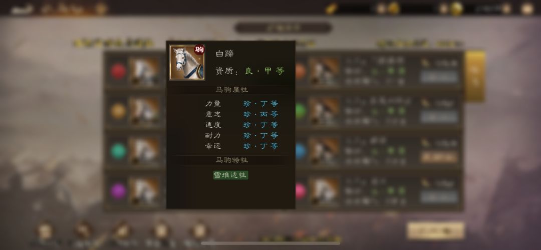 第一周赛马比赛场地出炉,该压谁! 2