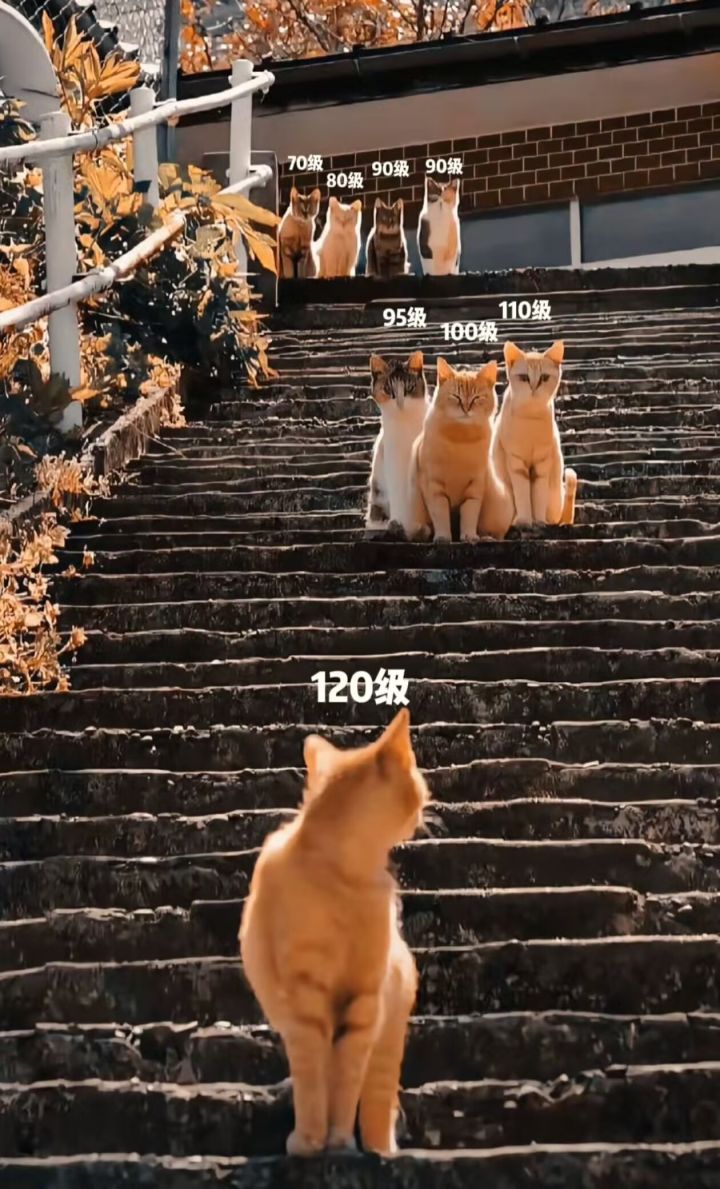 该回家啦 #发现好游戏
#剑网3无界截图