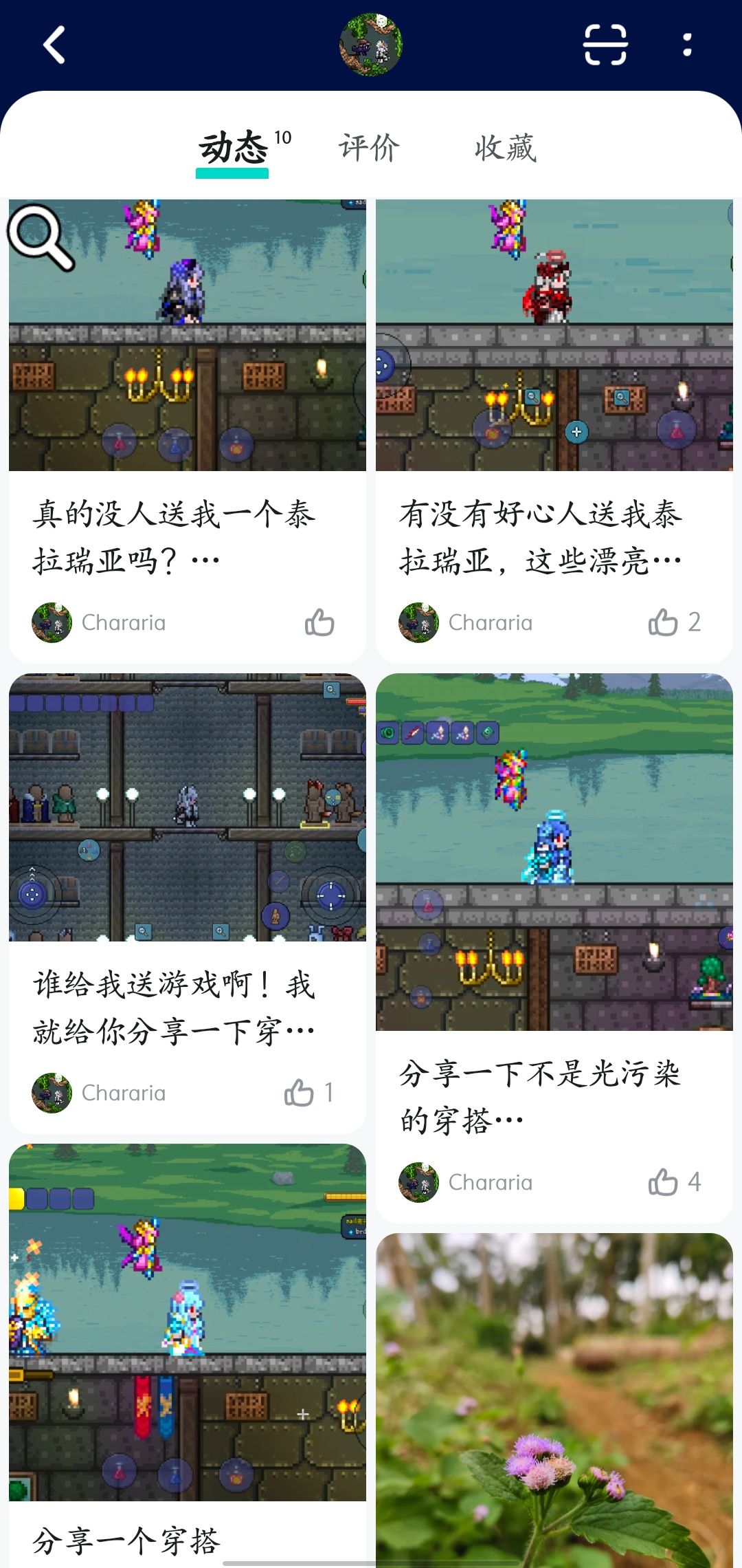 评价一下冒充本人的赛博乞丐 2