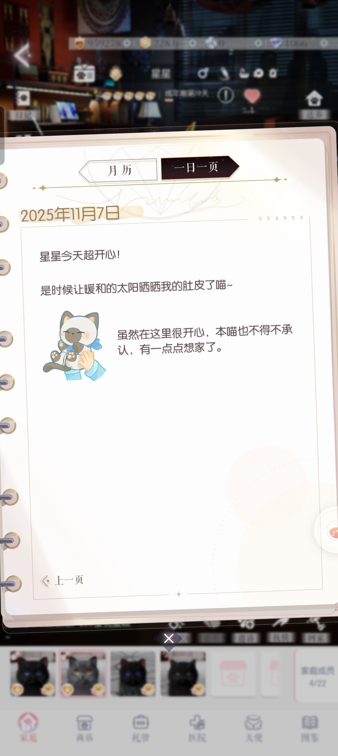 关于猫猫 1