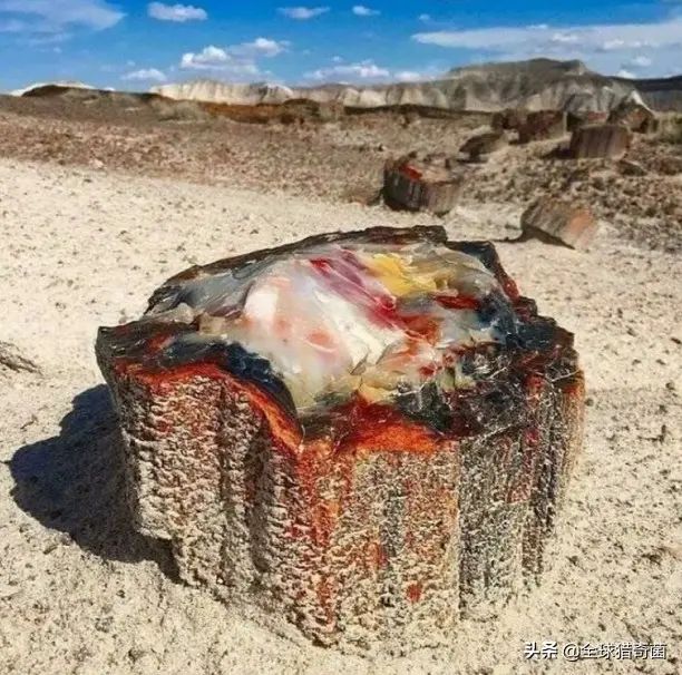 不是服务器买不起，而是土豆更有性价比截图