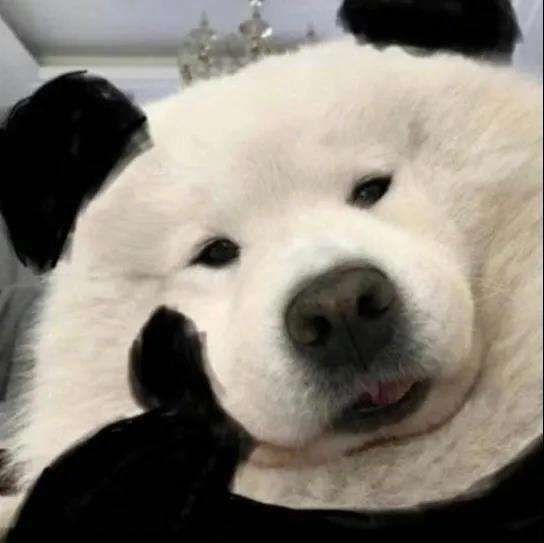安克雷奇或者说科技点的想法截图